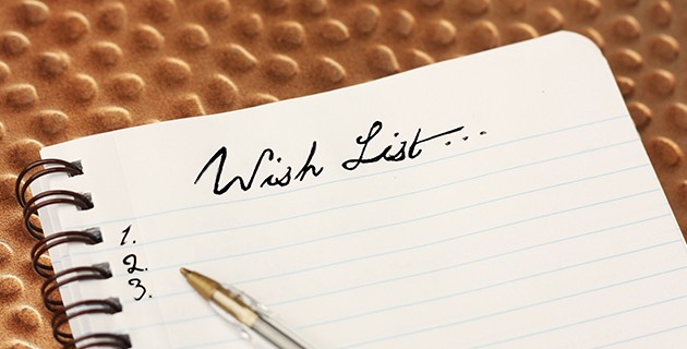 wishlist%20for%20Startup.jpg