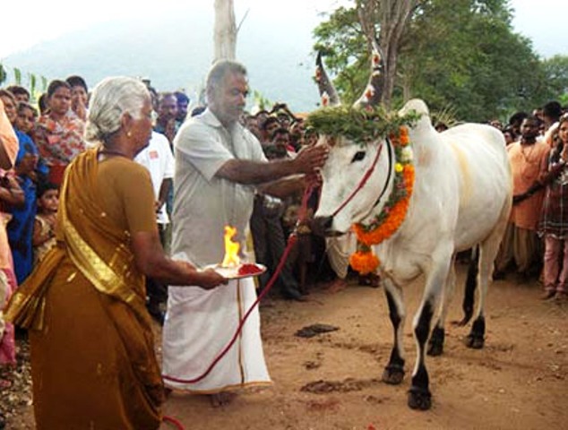 Kaanum%20Pongal_01.jpg