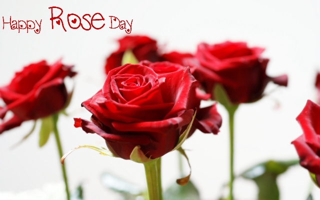 Happy%20Rose%20Day%20HD%20Images_01.jpg