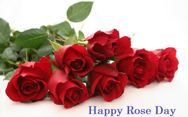 Happy%20Rose%20Day%20HD%20Images_04.jpg