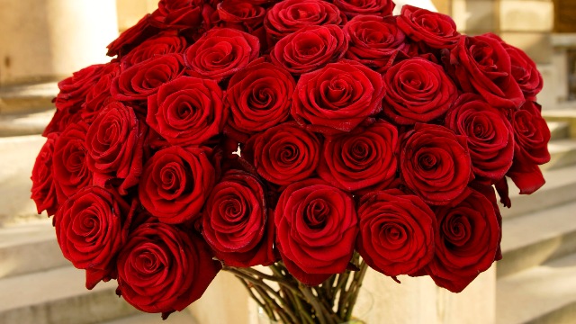 Red%20Rose%20Day%20symbol%20of%20love_03.jpg