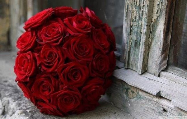 Red%20Rose%20Day%20symbol%20of%20love_05.jpg