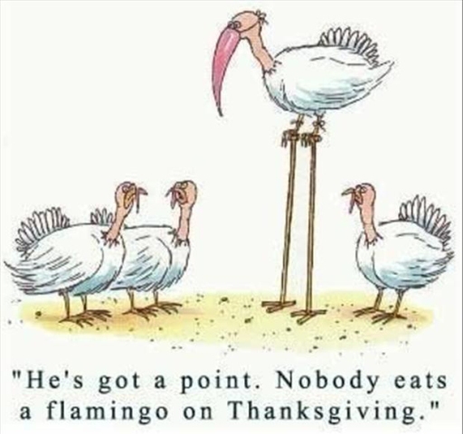 Thanksgiving%20Day%20funny%20Pictures_01.jpg