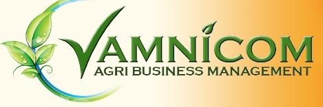VAMNICOM,%20Pune.jpg