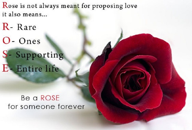 Rose%20Greeting_02.jpg