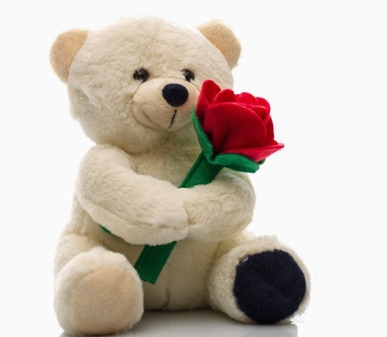Teddy_Day_01.jpg