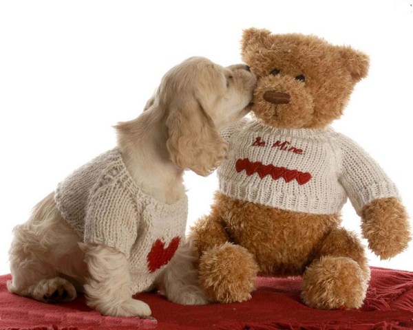 stuffed cloth dolls