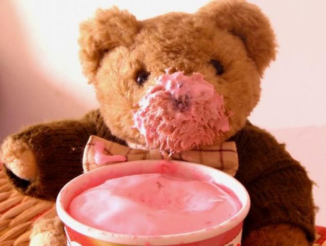 Teddy_Day_05.jpg