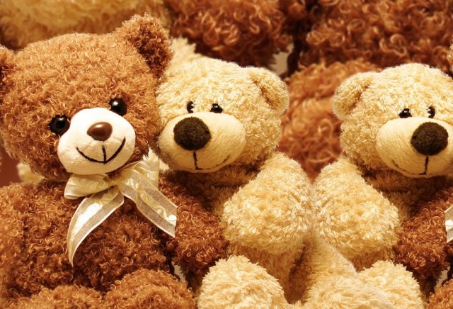 Teddy_Day_07.jpg