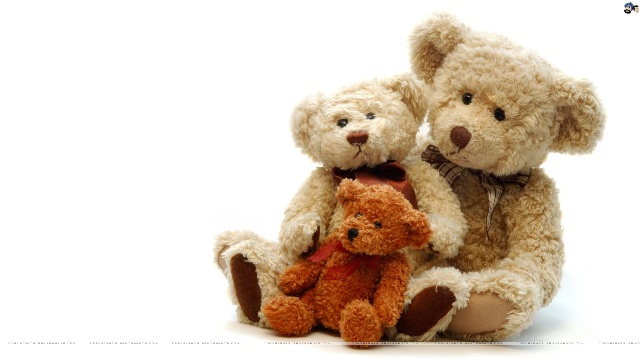 Teddy_Day_11.jpg