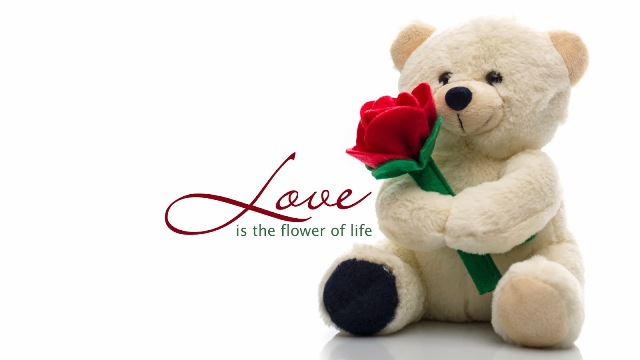 Teddy_Day_13.jpg