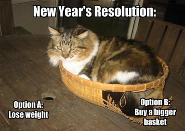 New%20Year%20Resolution%20-%20funny%20ideas_03.jpg