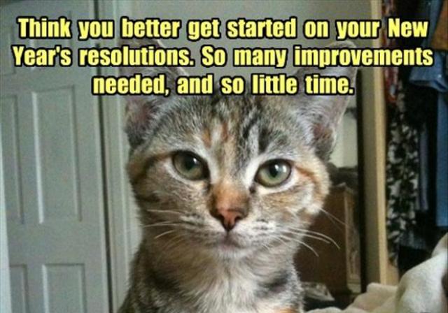 New%20Year%20Resolution%20-%20funny%20ideas_04.jpg