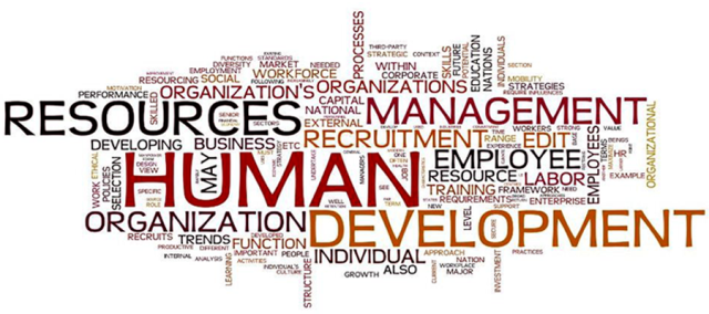 Human%20Resource%20Management%20of%20Yum!%20Brands,%20Inc.png