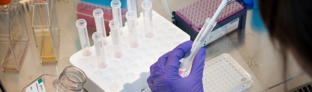 DU%20Science%20(B_Sc)%20CutOff_04.jpg