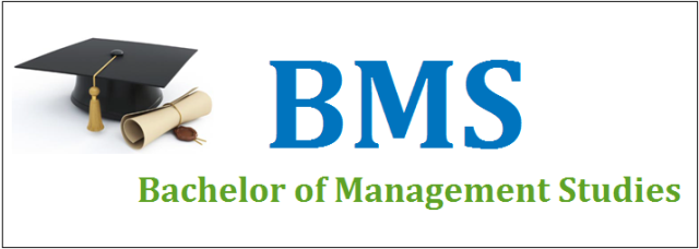 Bachelor%20of%20Management%20Studies.jpg