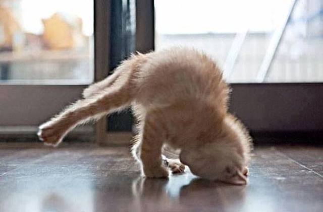 Yoga_01.jpg