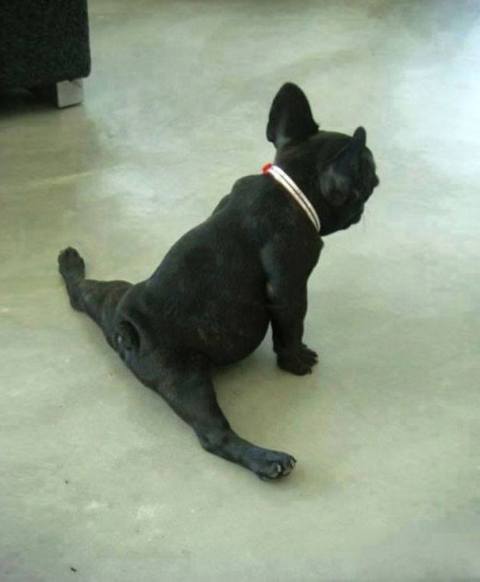 Yoga_02.jpg