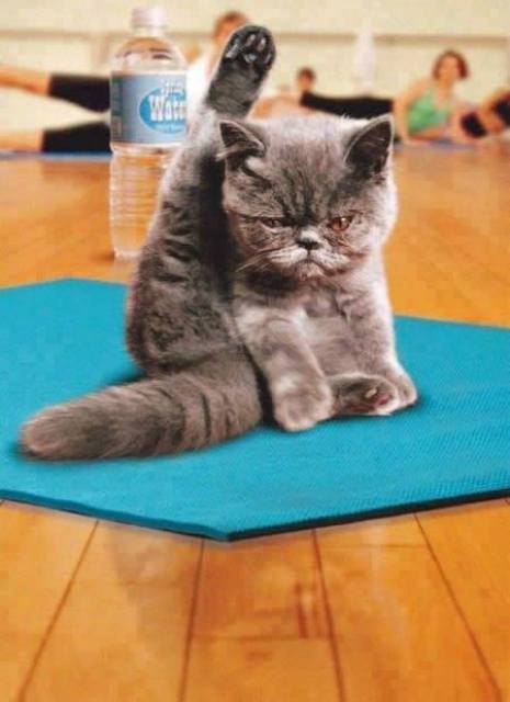 Yoga_03.jpg