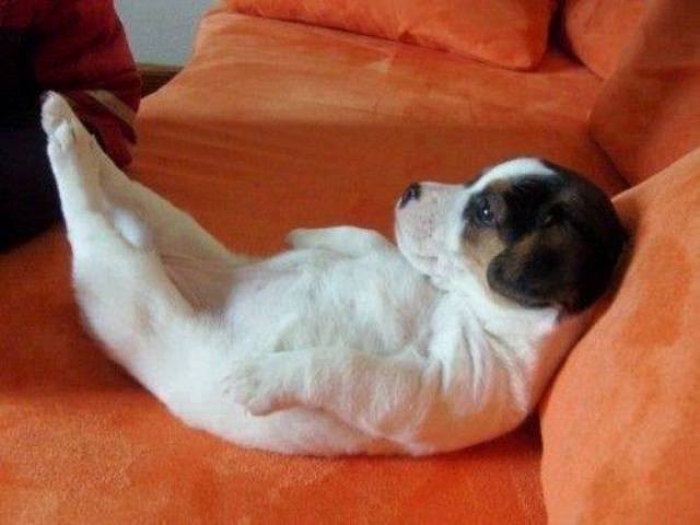 Yoga_04.jpg