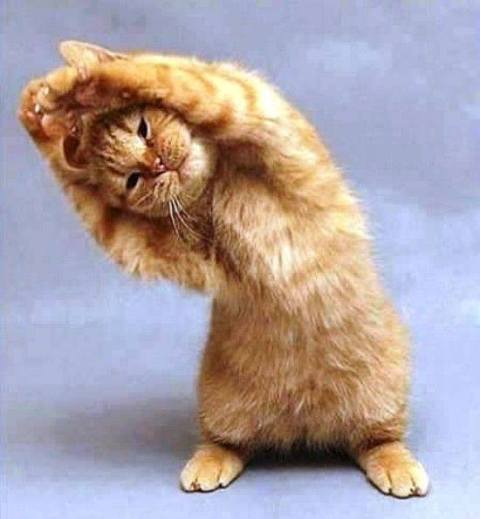 Yoga_05.jpg