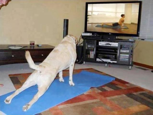 Yoga_06.jpg