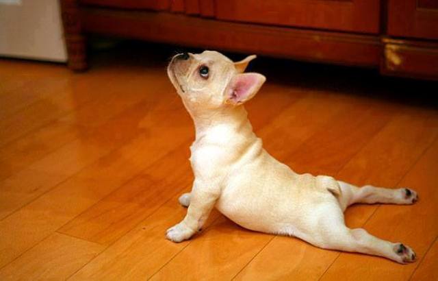 Yoga_07.jpg