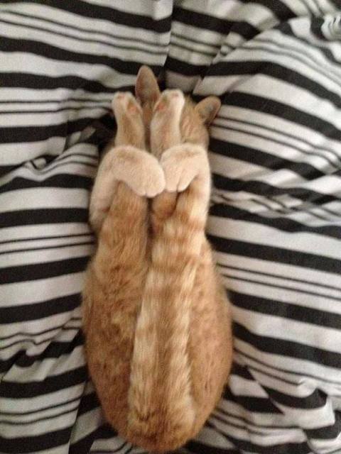 Yoga_08.jpg