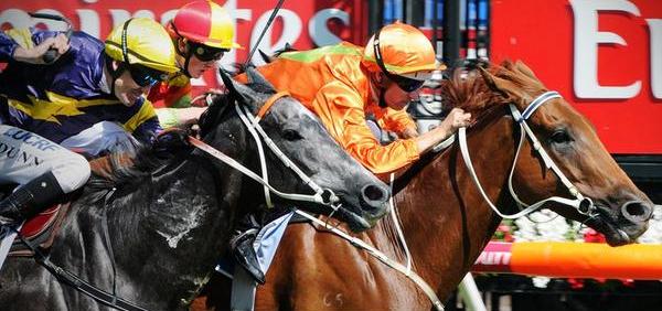 StakesDay_01.jpg