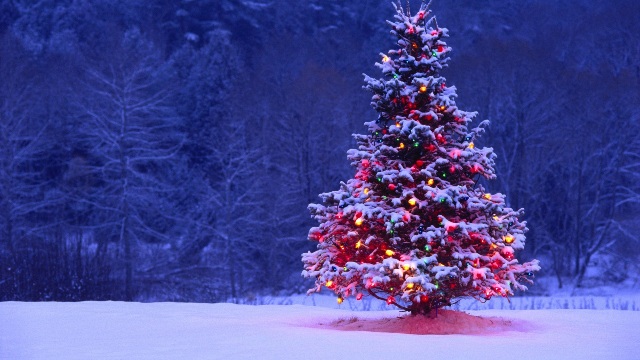 Christmas_01.jpg