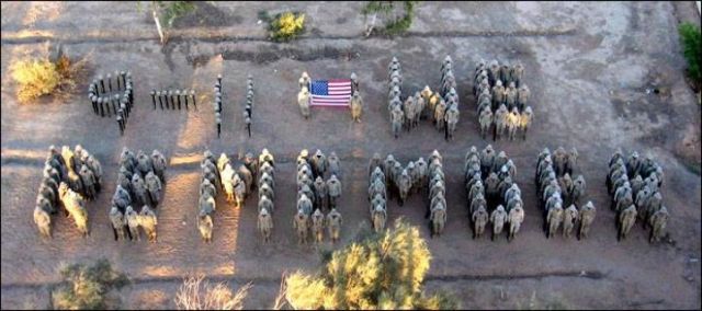 Marines%20paying%20tribute.jpg