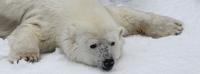 Climate%20change%20can%20kill%20everyone.jpg