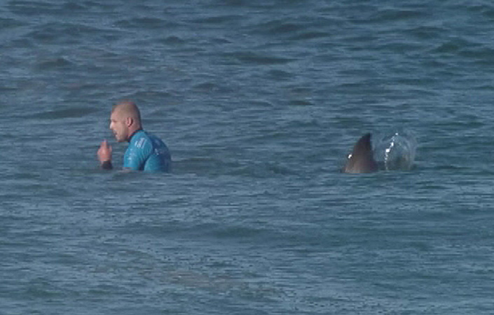 mick_fanning_shark.jpg