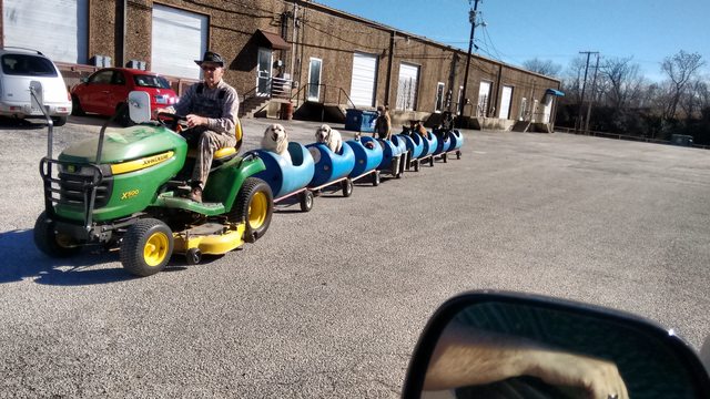 built%20dog%20train.jpg