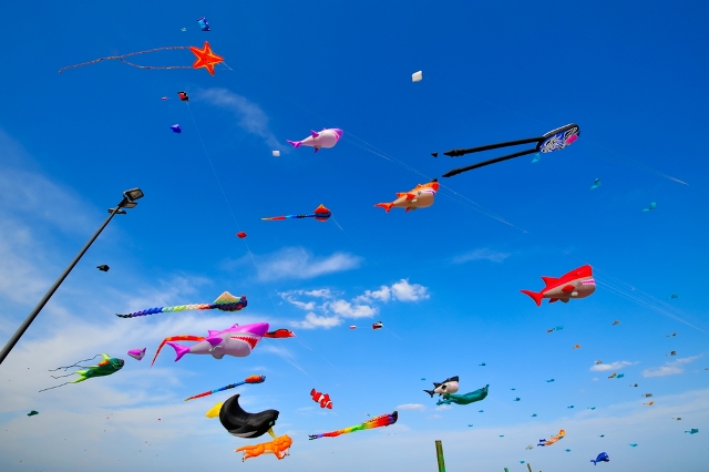 Happy%20Kites%20Festival_5.jpg