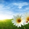 Sweety ------------